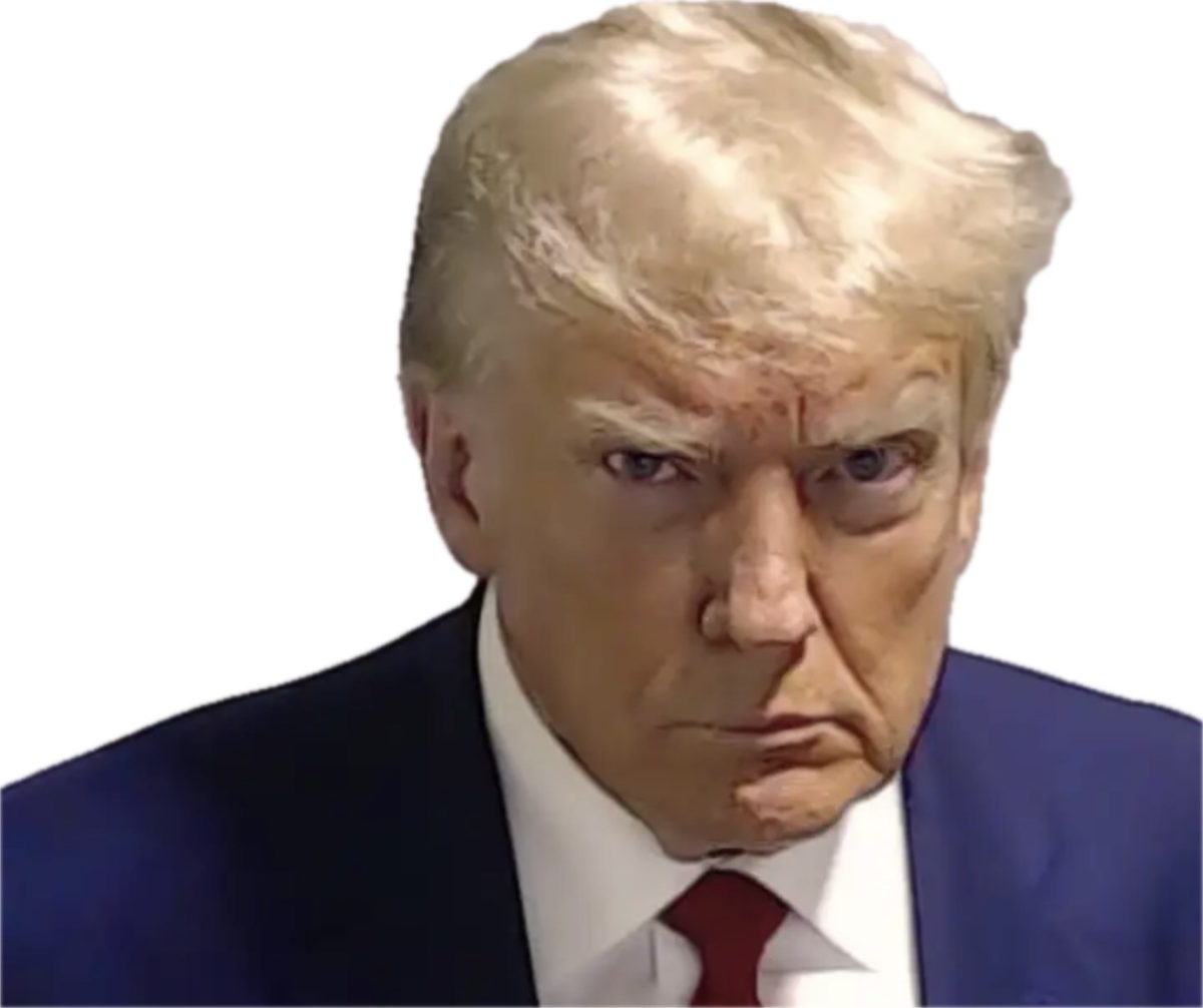 Decisions of Donald J. Trump 2.0